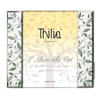 Cornice Thilia in Argento 452525 - 452525